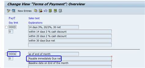 payable immediately due net.